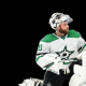 Braden Holtby Dallas Stars NHL